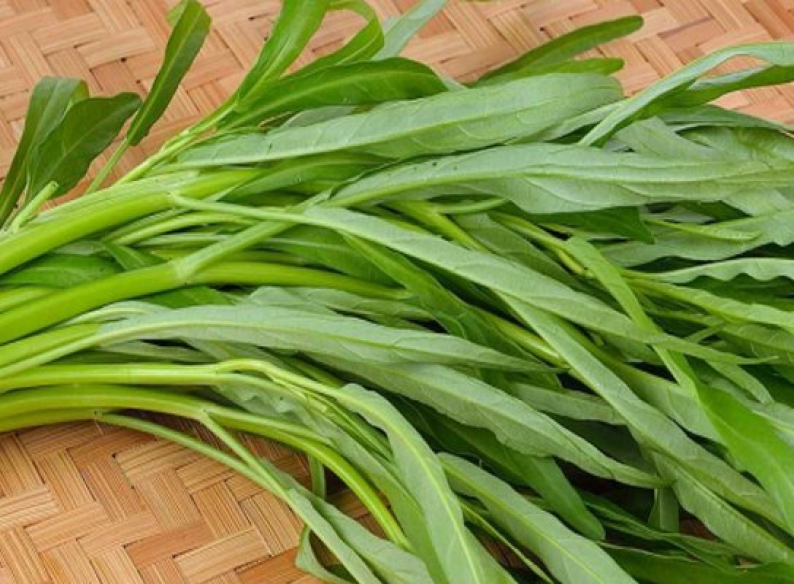 Hướng dẫn về các yếu tố cần xem xét khi mua một căn nhà, bao gồm vị trí, giá trị tài sản, và tình trạng của căn nhà.