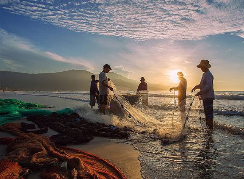 Mua cá biển địa phương Miền Trung — Không Chỉ Là Chuyện Ăn Ngon