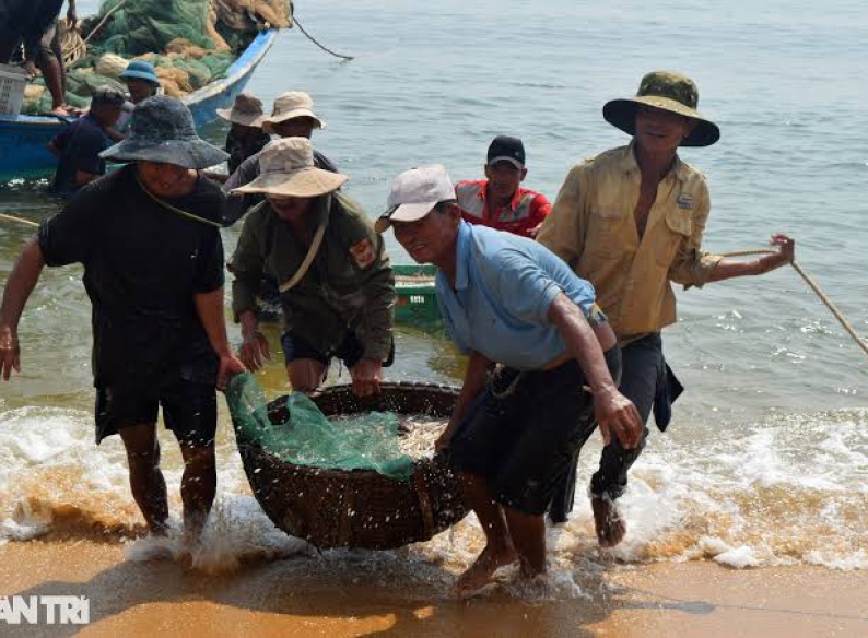 Vì sao cá biển gần bờ ngon hơn cá biển xa bờ