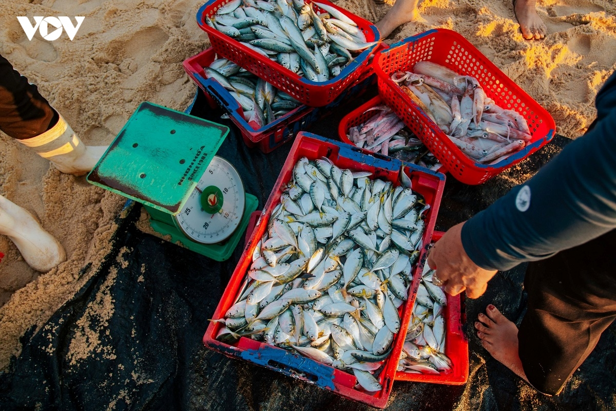 hình ảnh biển
