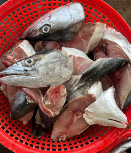 BỘ ĐẦU ĐUÔI CÁ THU rửa sạch