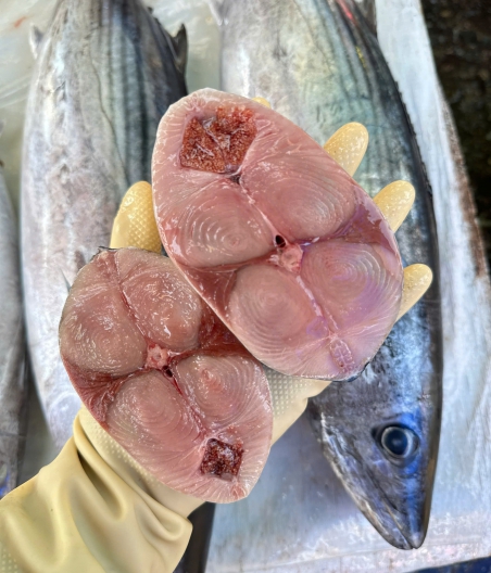 CÁ NGỪ THU CẮT LÁT/ NGUYÊN CON