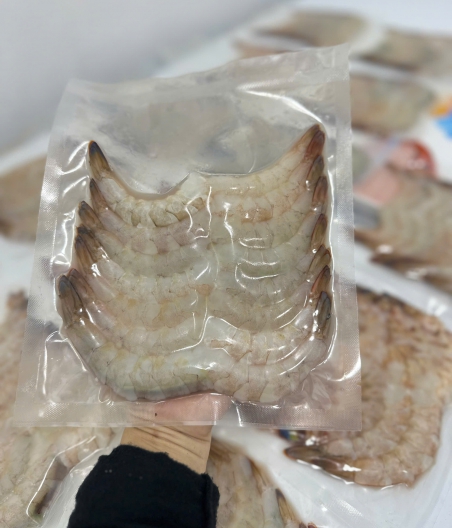Nõn tôm chì biển